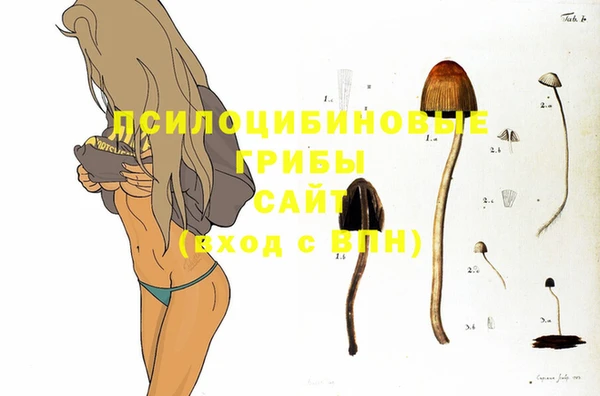 первитин Верхний Тагил