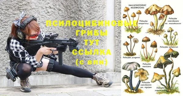 прущая мука Волоколамск